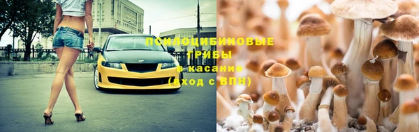 МДПВ Мегион