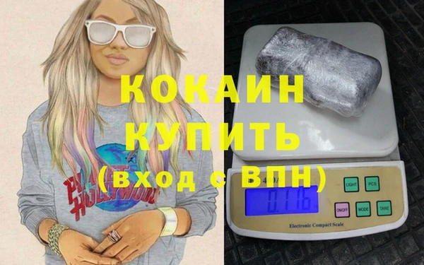мдпв Михайлов
