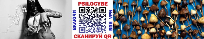 где купить наркотик  Саратов  Галлюциногенные грибы Psilocybine cubensis 