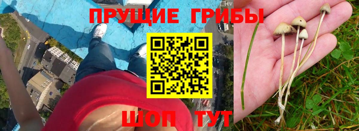 Галлюциногенные грибы Magic Shrooms Саратов