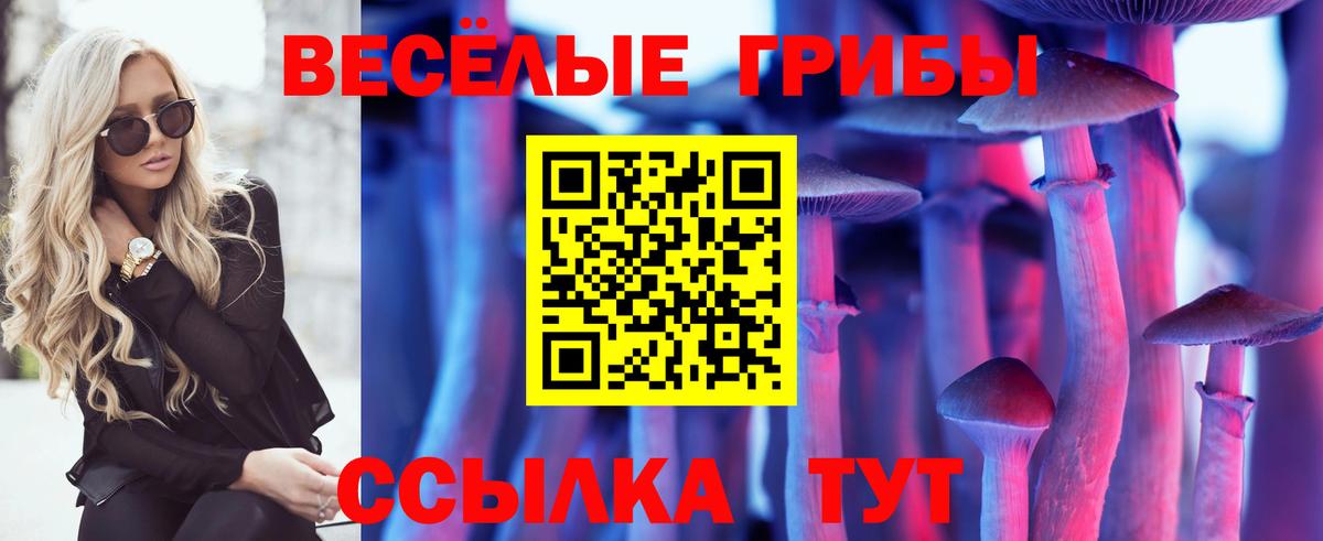Саратов  Псилоцибиновые грибы ЛСД  Вход с VPN 